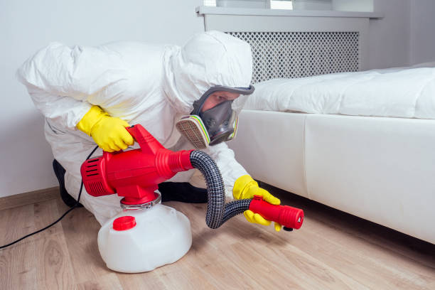 Wasp Removal Services in Mexia, TX