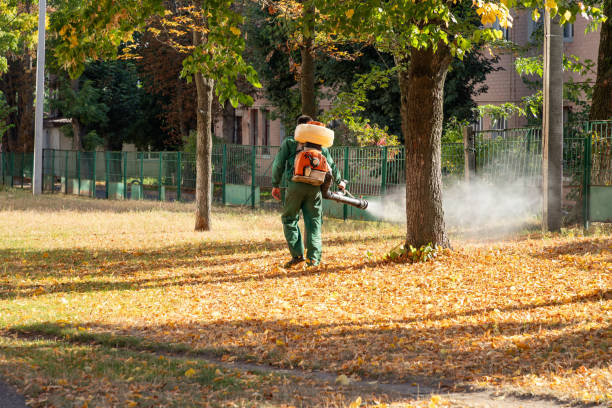 Best Pest Control Near Me  in Mexia, TX