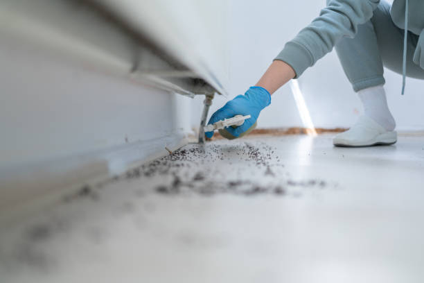 Professional Pest Control in Mexia, TX